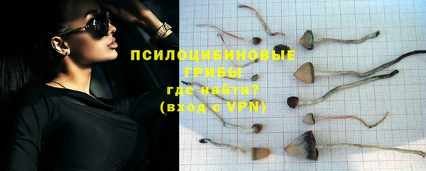 шишки Алзамай