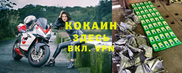 шишки Алзамай