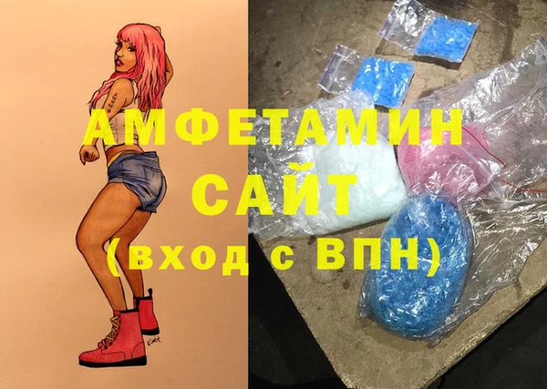 мет Алексин