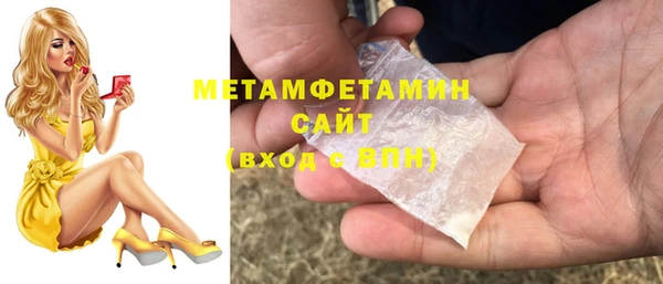 мет Алексин