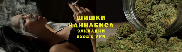 шишки Алзамай