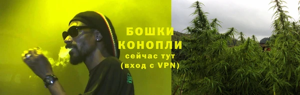 шишки Алзамай