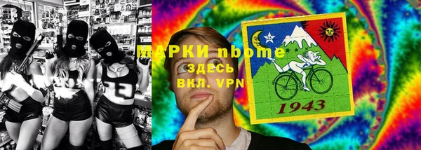 шишки Алзамай