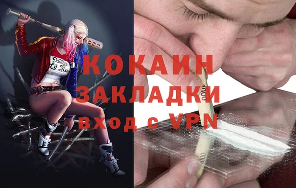 мет Алексин