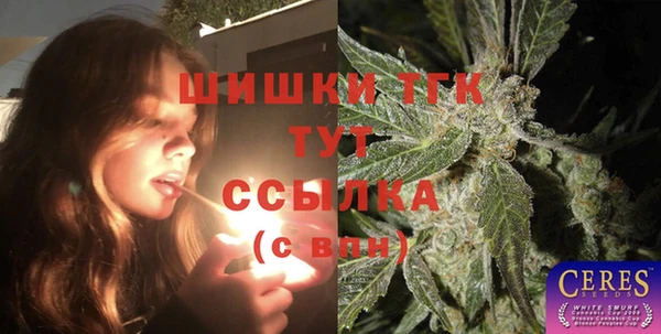 мет Алексин