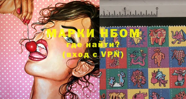 шишки Алзамай
