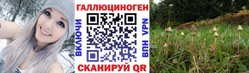 hydra маркетплейс Печоры Псилоцибиновые грибы мухоморы
